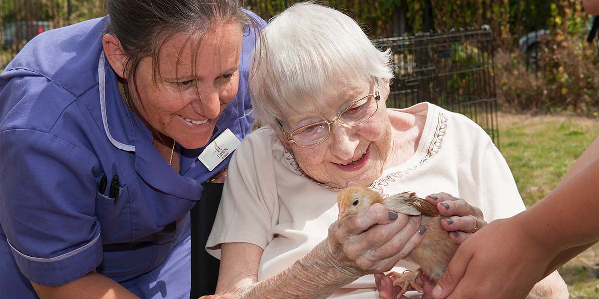 Residents Doing Pet therapy