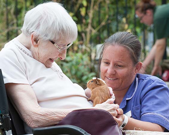 Residents Doing Pet Therapy